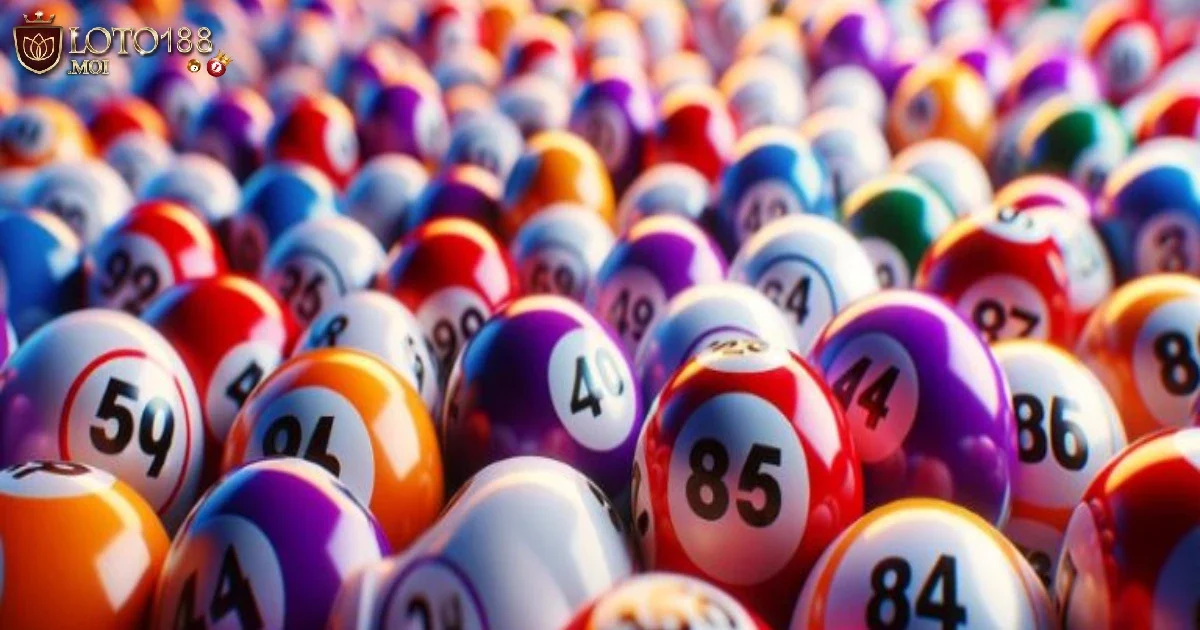 Điểm Lô Là Gì? Quy Tắc Tính Tiền Và Cách Đặt Cược Chính Xác